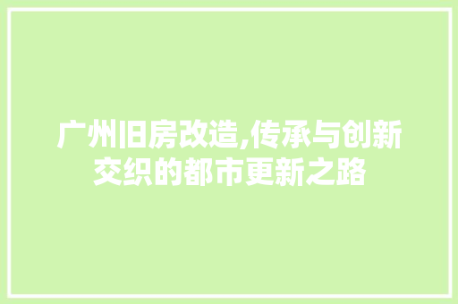 广州旧房改造,传承与创新交织的都市更新之路