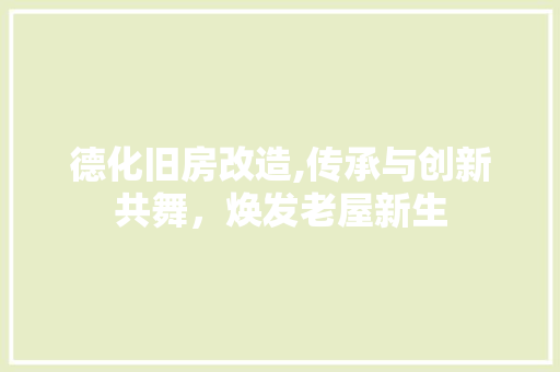 德化旧房改造,传承与创新共舞，焕发老屋新生