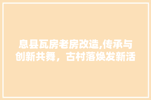 息县瓦房老房改造,传承与创新共舞，古村落焕发新活力