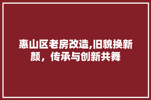 惠山区老房改造,旧貌换新颜，传承与创新共舞