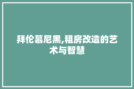 拜伦慕尼黑,租房改造的艺术与智慧