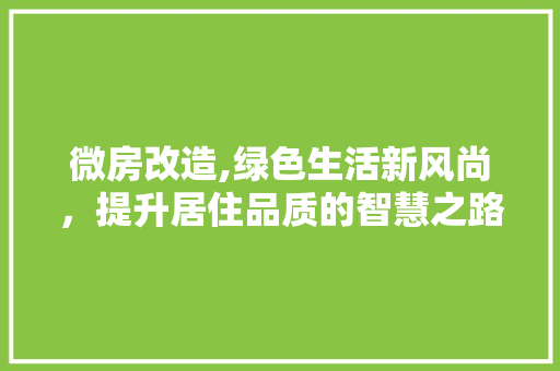 微房改造,绿色生活新风尚，提升居住品质的智慧之路