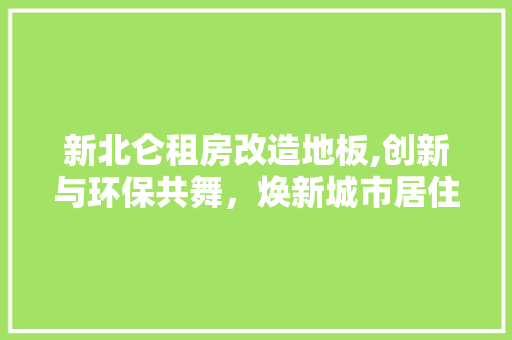 新北仑租房改造地板,创新与环保共舞，焕新城市居住空间
