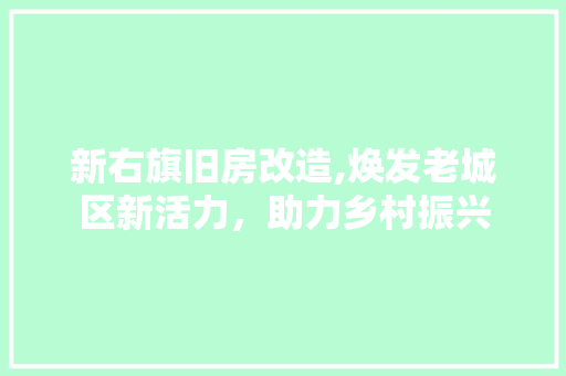 新右旗旧房改造,焕发老城区新活力，助力乡村振兴