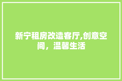 新宁租房改造客厅,创意空间，温馨生活
