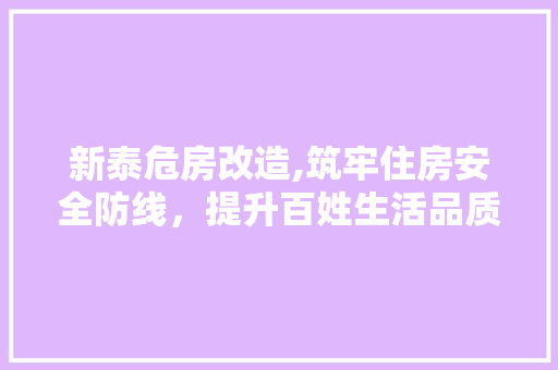 新泰危房改造,筑牢住房安全防线，提升百姓生活品质