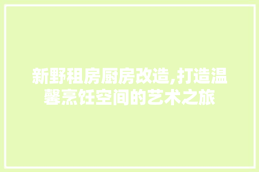 新野租房厨房改造,打造温馨烹饪空间的艺术之旅