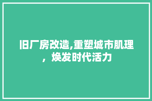 旧厂房改造,重塑城市肌理，焕发时代活力