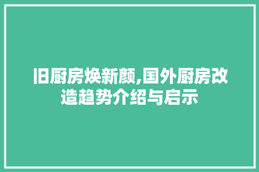 旧厨房焕新颜,国外厨房改造趋势介绍与启示