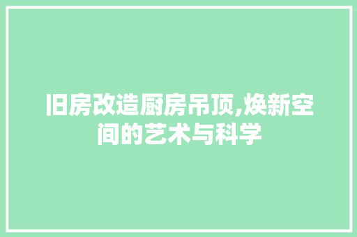 旧房改造厨房吊顶,焕新空间的艺术与科学