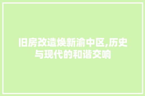 旧房改造焕新渝中区,历史与现代的和谐交响