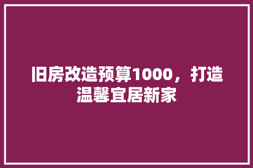 旧房改造预算1000，打造温馨宜居新家