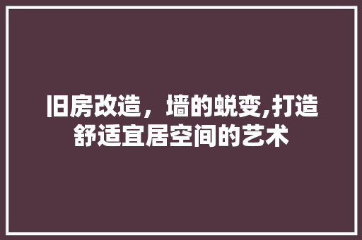 旧房改造，墙的蜕变,打造舒适宜居空间的艺术
