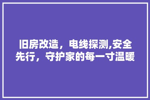 旧房改造，电线探测,安全先行，守护家的每一寸温暖