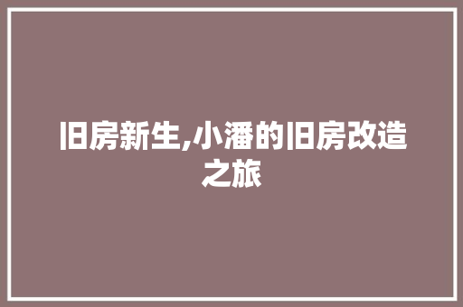 旧房新生,小潘的旧房改造之旅