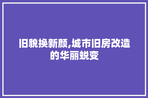 旧貌换新颜,城市旧房改造的华丽蜕变
