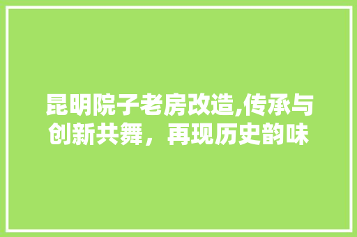 昆明院子老房改造,传承与创新共舞，再现历史韵味