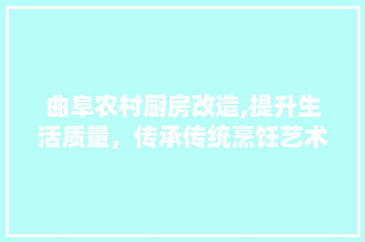 曲阜农村厨房改造,提升生活质量，传承传统烹饪艺术