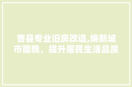 曹县专业旧房改造,焕新城市面貌，提升居民生活品质