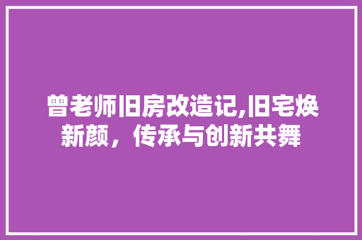 曾老师旧房改造记,旧宅焕新颜，传承与创新共舞