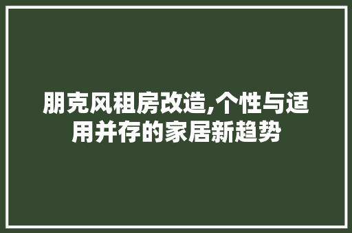 朋克风租房改造,个性与适用并存的家居新趋势