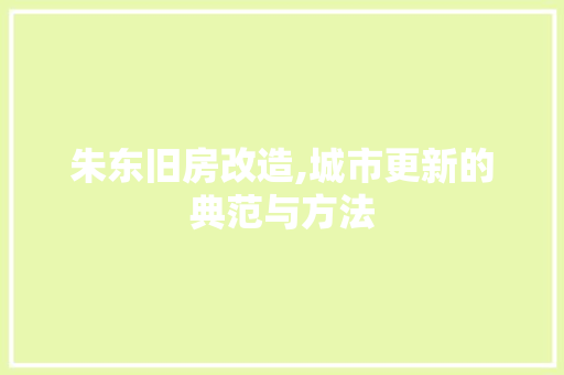 朱东旧房改造,城市更新的典范与方法