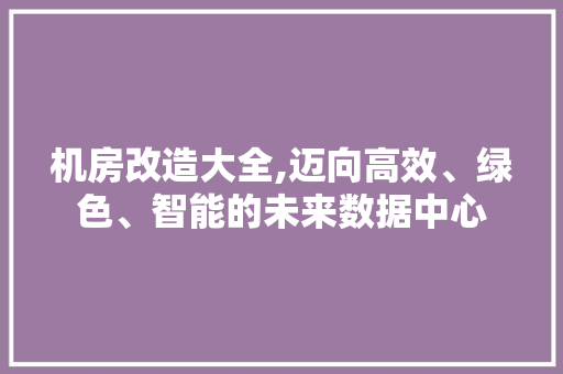 机房改造大全,迈向高效、绿色、智能的未来数据中心