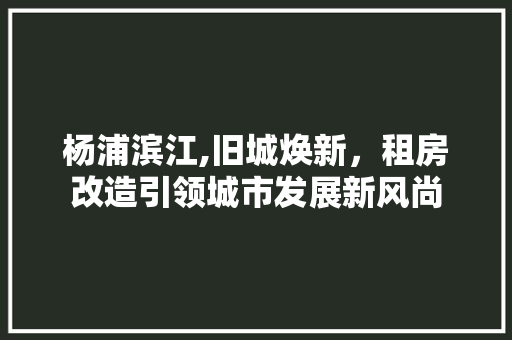 杨浦滨江,旧城焕新，租房改造引领城市发展新风尚