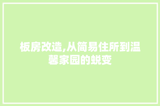 板房改造,从简易住所到温馨家园的蜕变