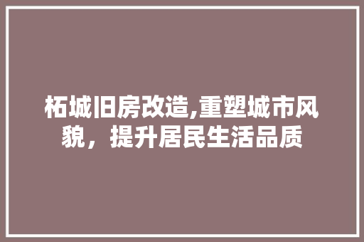 柘城旧房改造,重塑城市风貌，提升居民生活品质