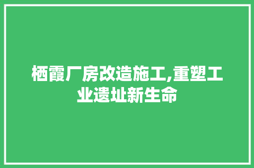 栖霞厂房改造施工,重塑工业遗址新生命