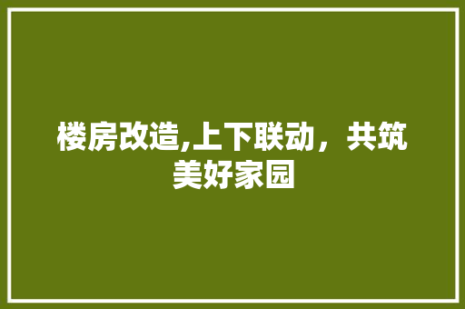 楼房改造,上下联动，共筑美好家园