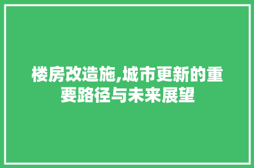 楼房改造施,城市更新的重要路径与未来展望