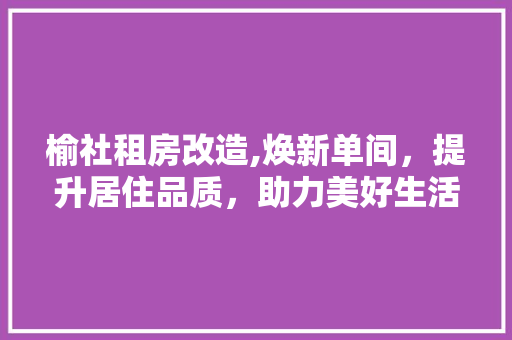榆社租房改造,焕新单间，提升居住品质，助力美好生活