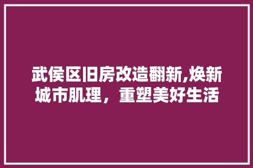 武侯区旧房改造翻新,焕新城市肌理，重塑美好生活