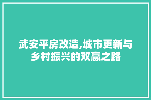 武安平房改造,城市更新与乡村振兴的双赢之路