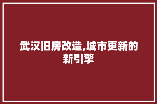 武汉旧房改造,城市更新的新引擎