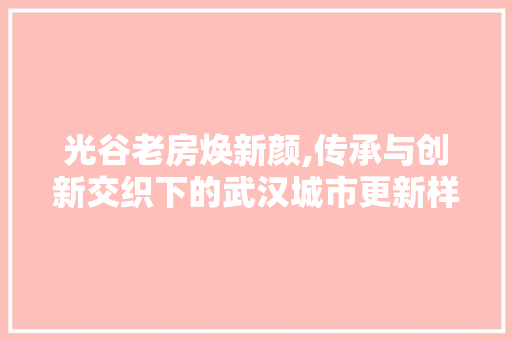 光谷老房焕新颜,传承与创新交织下的武汉城市更新样本