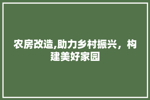 农房改造,助力乡村振兴，构建美好家园