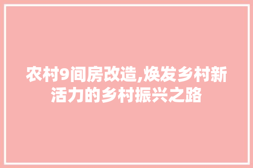 农村9间房改造,焕发乡村新活力的乡村振兴之路