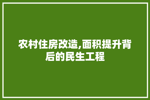 农村住房改造,面积提升背后的民生工程