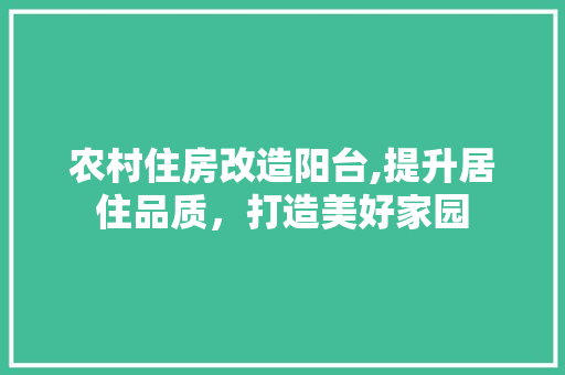 农村住房改造阳台,提升居住品质，打造美好家园