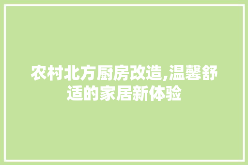 农村北方厨房改造,温馨舒适的家居新体验
