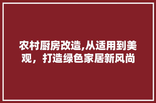 农村厨房改造,从适用到美观，打造绿色家居新风尚
