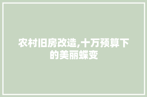 农村旧房改造,十万预算下的美丽蝶变