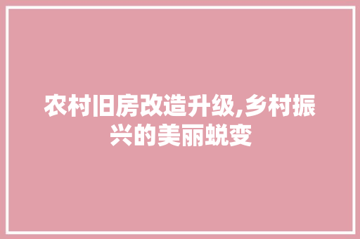 农村旧房改造升级,乡村振兴的美丽蜕变