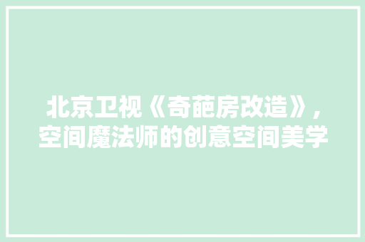 北京卫视《奇葩房改造》,空间魔法师的创意空间美学之旅