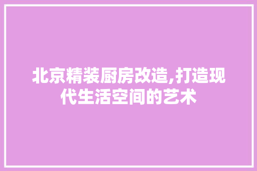 北京精装厨房改造,打造现代生活空间的艺术
