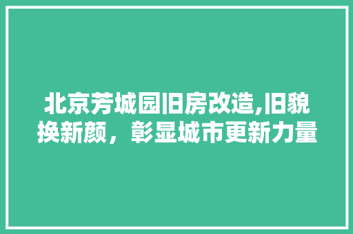 北京芳城园旧房改造,旧貌换新颜，彰显城市更新力量