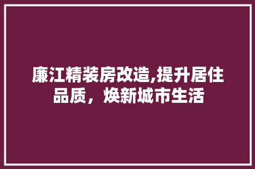 廉江精装房改造,提升居住品质，焕新城市生活